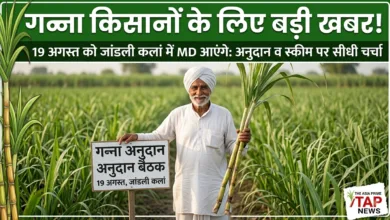 हरियाणा के गन्ना किसानों के लिए सरकारी योजना व अनुदान: जींद शुगर मिल MD पहुंचेगे जांडली कलां, जानें पूरी स्कीम 3 1787058670280